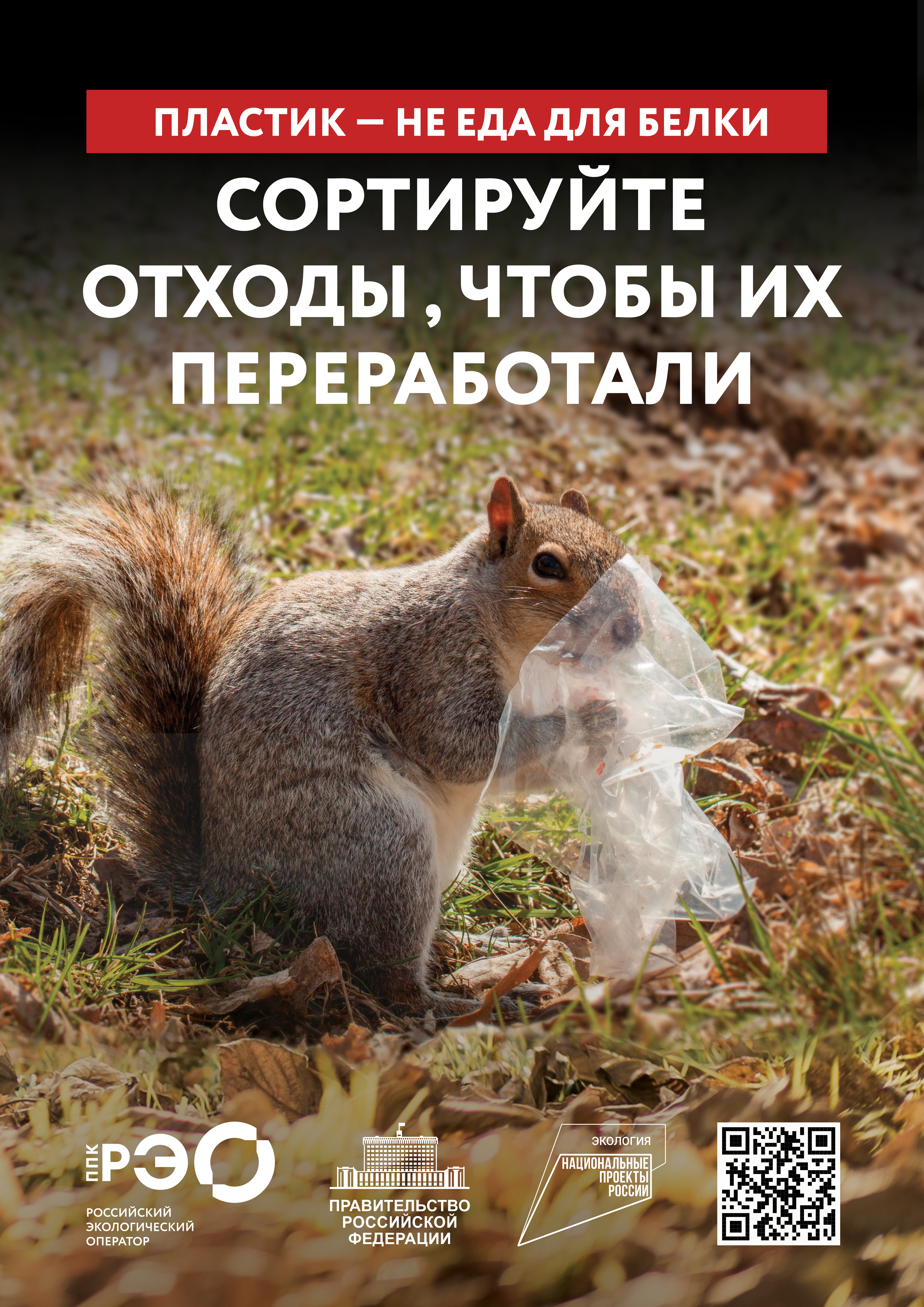 сортировка.jpg